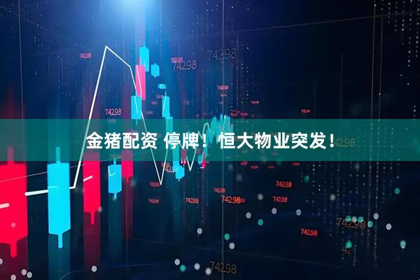 金猪配资 停牌！恒大物业突发！
