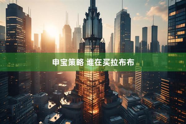 申宝策略 谁在买拉布布