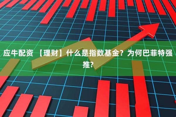 应牛配资 【理财】什么是指数基金？为何巴菲特强推?
