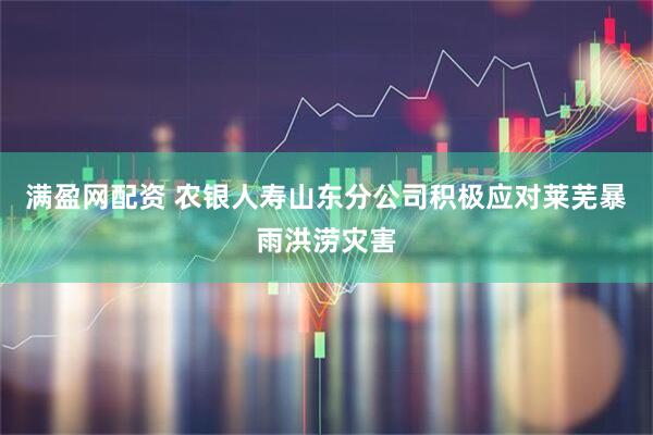 满盈网配资 农银人寿山东分公司积极应对莱芜暴雨洪涝灾害